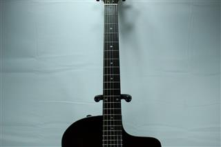 TAYLOR GUITARS 214CE DLX